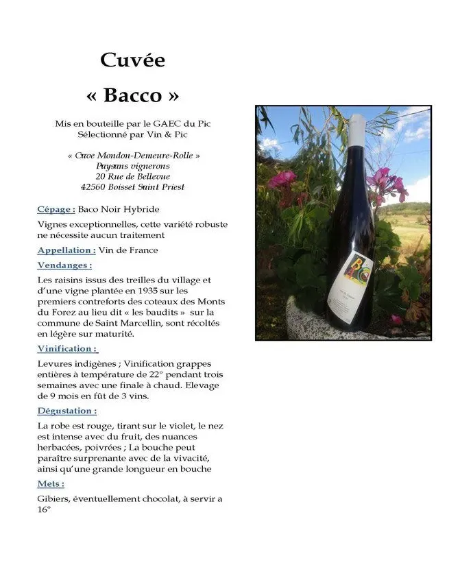 Bacco