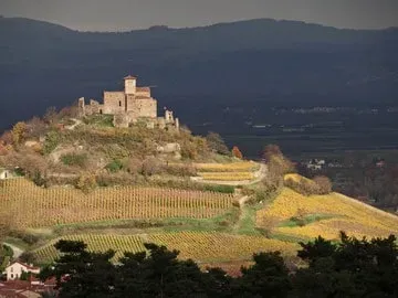 Domaine viticole à  Boisset-Saint-Priest