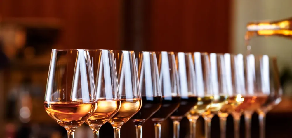 Dégustation de vins à  Boisset-Saint-Priest